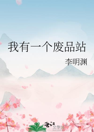 我有一个废品站英语