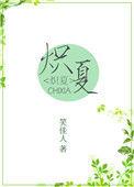 炽夏讲的什么