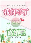 我怀孕了所以离婚吧完结