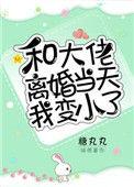 和大佬离婚当天我变小了 作者糖丸丸