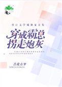 穿成霸总拐走炮灰番外