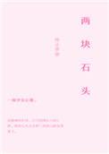 梦见捡了两块石头