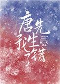 唐先生我错了