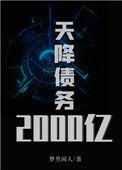 天降245万债务