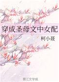 穿成圣母文中女配的男主是谁