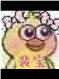 裴宝by