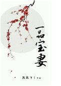 一品宝妻txt全集