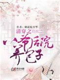 清穿之八爷的儿子的
