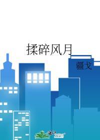 揉碎风月疆戈
