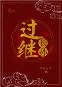 过继长孙科举番外