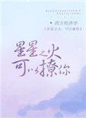 星星之火可以撩你无弹窗