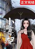 乘风破浪的小寡妇讲什么
