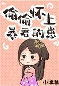 偷偷怀上暴君的崽睡前看