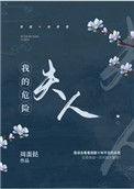 我的危险夫人多少字