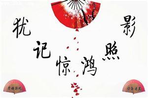 犹记惊鸿照影来是什么意思