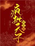 宫锁雀翎全文阅读