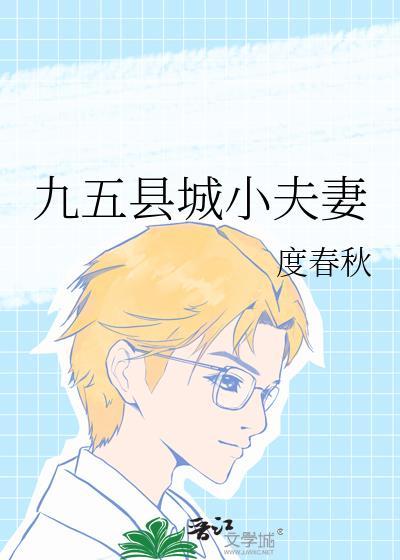 九五县城小夫妻说的是什么