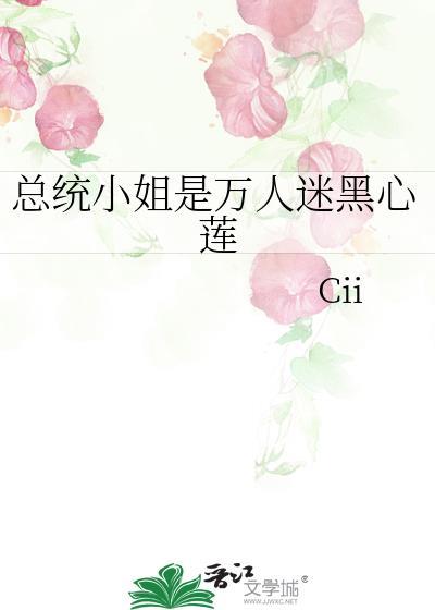 总统系列的