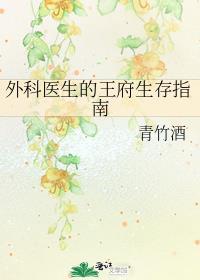 外科医生的王府生存指南剧透