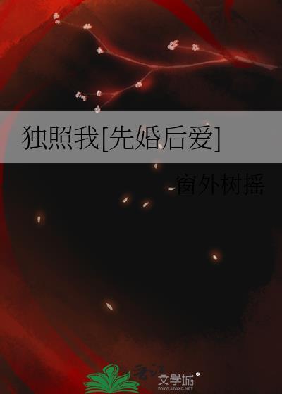 独照篇作文