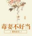毒妻不好当格格党