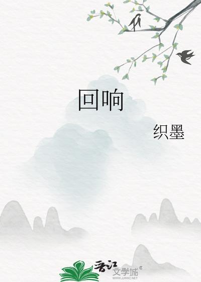 回响电视剧简介