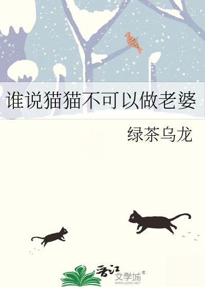 谁说猫猫不可以做老婆晋江