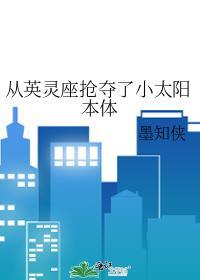 从英灵座抢夺了小太阳本体(墨知侠)