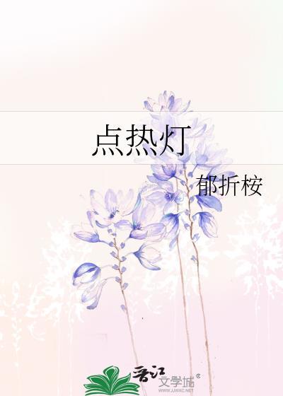 点热灯全集TXT