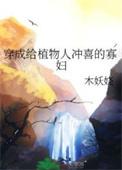 穿成植物人冲喜的寡妇免费