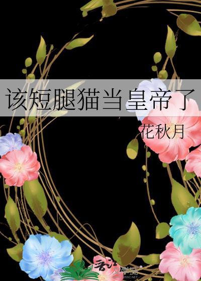 短腿猫是什么
