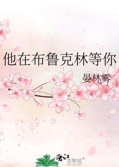 他在布鲁克林等你晋江