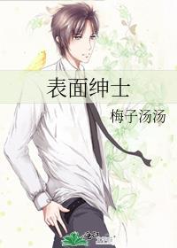表面绅士by梅子汤汤全文