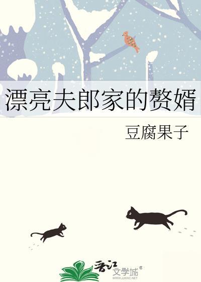 漂亮夫郎家的赘婿免费阅读