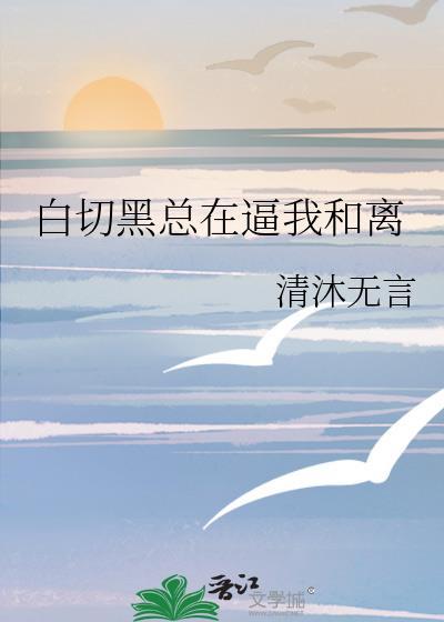 白切黑和黑切白txt