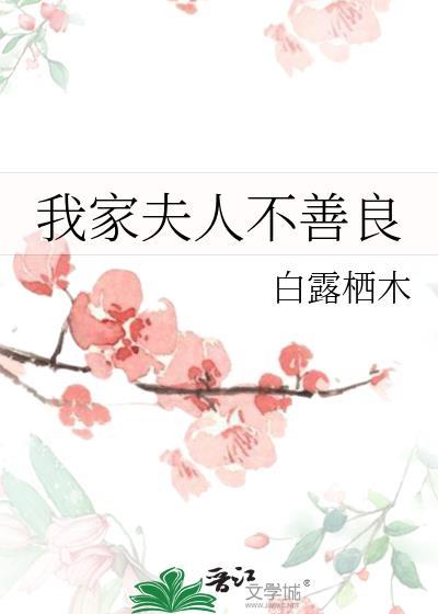 我家夫人不好惹