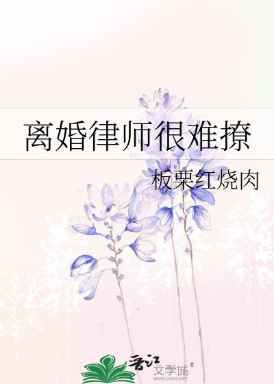 离婚资深律师