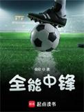 全能中锋txt奇书网