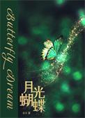 月光蝶 怎么打