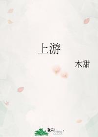 上游接口是什么意思