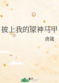 披我马甲做甚
