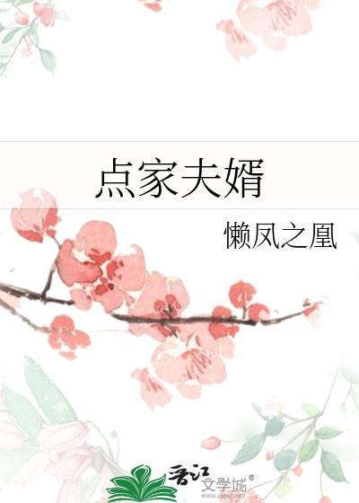 点家夫婿在线阅读