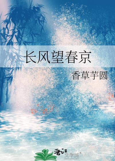 长风望春京番外txt资源