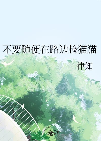 路边捡的小猫可以洗澡吗