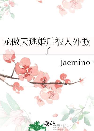 龙傲天什么