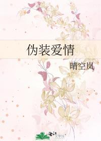 伪装中