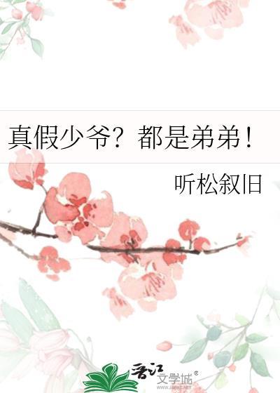真假少爷?都是弟弟!晋江