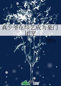真少爷在综艺成为豪门团宠番外