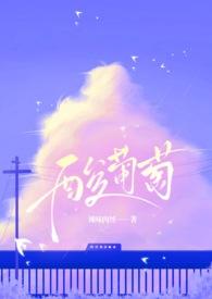 酸葡萄怎么弄好吃