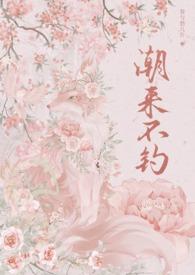 来潮不来桥